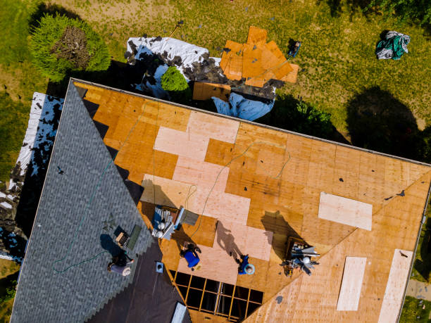 Best Metal Roofing Contractor  in Yorkvle, IL
