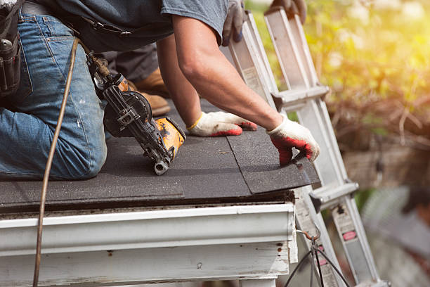 Best Roof Gutter Cleaning  in Yorkvle, IL